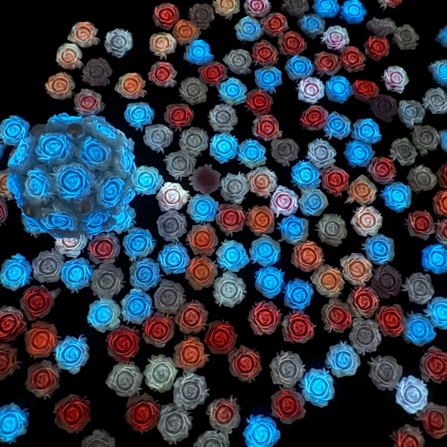 FS1060- 8MM Mixed Color Glowing Rose Resin Flower Nail Charms For Making Fancy Bead