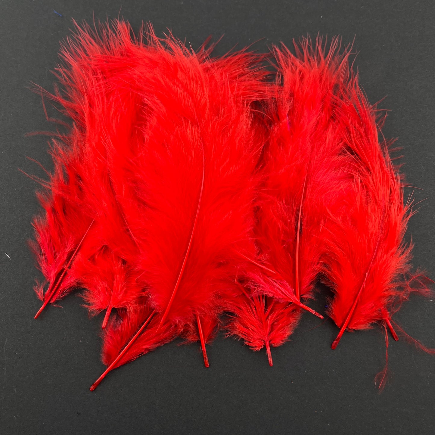 FS1804- Random Mixed 10-15cm Length Feather For Making Fancy Beads