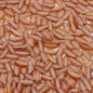 [KM1354]- 5mm*10mm Horse Eyes Flower Petal Diamonds charms, For Making Fancy Bead Or Fancy Pen