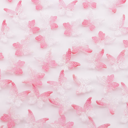 FS6076- Butterfly Acrylic With Holes