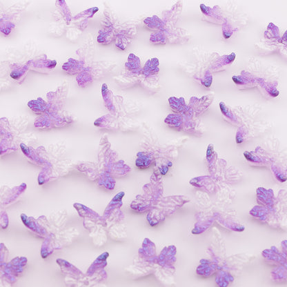 FS6076- Butterfly Acrylic With Holes