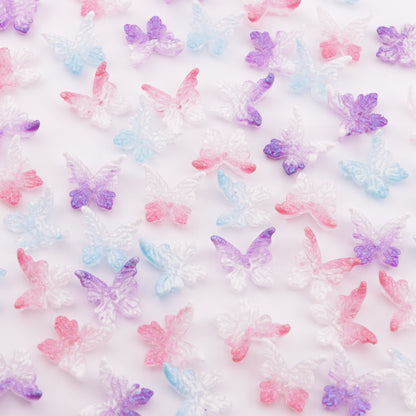 FS6076- Butterfly Acrylic With Holes