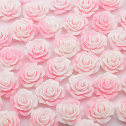 FS5375- 20mm Pink Gradient Resin Flowers