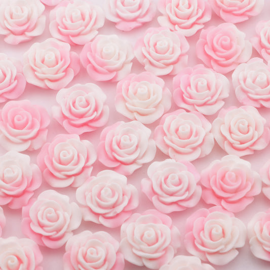 FS5375- 20mm Pink Gradient Resin Flowers