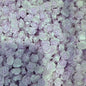 [KM6937]- 8mm Two-Color Luminous Pearl Paint Rose Flower Charms